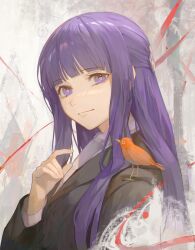 Rule 34 | 1girl, animal, animal on shoulder, bird, bird on shoulder, black robe, blunt bangs, closed mouth, commentary, fern (sousou no frieren), hand up, highres, long hair, long sleeves, looking at viewer, purple eyes, purple hair, robe, shirt, smile, solo, sousou no frieren, straight hair, upper body, very long hair, white shirt, yoruirooo777