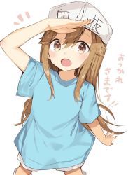 Rule 34 | 10s, 1girl, :d, arm up, blue shirt, blush, brown eyes, character name, clothes writing, commentary request, flat cap, grey hat, hair between eyes, hat, hataraku saibou, kura ekaki, light brown hair, long hair, looking at viewer, open mouth, platelet (hataraku saibou), salute, shirt, short shorts, short sleeves, shorts, simple background, smile, solo, standing, translation request, very long hair, white background