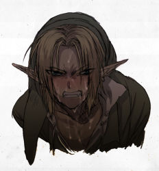 Rule 34 | angry, blonde hair, blush, cum, facial, link, male focus, nintendo, open clothes, open shirt, pointy ears, shirt, the legend of zelda, tubumi, yaoi