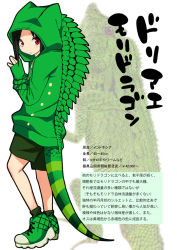Rule 34 | 1girl, character profile, full body, green socks, gujira, iguana, lizard, personification, socks, solo, standing, striped tail, tail, translation request, white background