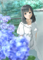 Rule 34 | 1girl, arms at sides, black hair, blue eyes, blush, breasts, collarbone, flower, highres, hydrangea, k ryo, large breasts, long hair, looking at viewer, original, smile, solo, standing