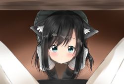 Rule 34 | 10s, 1boy, 1girl, admiral (kancolle), all fours, animal ears, asashio (kancolle), black hair, blue eyes, blush, cat ears, eyebrows, highres, kantai collection, kemonomimi mode, long hair, looking at viewer, out of frame, pants, pentagon (railgun ky1206), pleated skirt, pov, school uniform, shirt, short sleeves, sitting, skirt, solo focus, suspenders, swept bangs, under table, white pants, white shirt