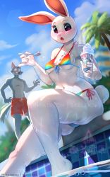 Rule 34 | 1boy, 1girl, animal ears, animal nose, artist name, bare shoulders, beastars, bikini, blue sky, blurry, blurry background, blush, body fur, breasts, bush, caustics, cloud, dated, day, dippin&#039; dots, dutch angle, embarrassed, english text, food, food on body, food on breasts, front-tie bikini top, front-tie top, furry, furry female, furry male, hands up, haru (beastars), holding, holding food, holding spoon, ice cream, ice cream cone, legoshi, lens flare, male swimwear, navel, nose blush, open mouth, outdoors, palm tree, patreon logo, patreon username, pool, purple eyes, rabbit ears, rabbit girl, rabbit tail, rainbow bikini, red male swimwear, red swim trunks, side-tie bikini bottom, sitting, skeleion, sky, small breasts, soaking feet, solo focus, spilling, spoon, standing, swim trunks, swimsuit, tail, topless male, tree, underboob, water, watermark, wet, white fur, wolf boy, wolf ears, wolf tail