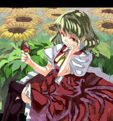 Rule 34 | 1girl, ascot, bad id, bad pixiv id, black thighhighs, bug, butterfly, butterfly on hand, colored eyelashes, crossed legs, dress, eyelashes, female focus, flower, from above, green hair, green nails, hand on own face, insect, kazami yuuka, letterboxed, looking up, nail polish, red eyes, ry ysd, short hair, sitting, skirt, skirt set, smile, solo, sunflower, thighhighs, touhou, vest, yasumo (kuusouorbital)