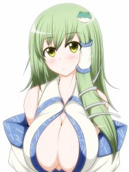 Rule 34 | 1girl, :&lt;, blush, breasts, cleavage, detached sleeves, female focus, frog, green hair, hair ornament, hair tubes, kochiya sanae, large breasts, long hair, open clothes, open shirt, shirt, snake, solo, touhou, yellow eyes, zefyu