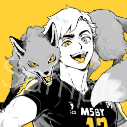 Rule 34 | 1boy, 3 upin, :p, animal, animal on shoulder, fox, greyscale, haikyuu!!, looking at viewer, male focus, miya atsumu, monochrome, open mouth, short hair, simple background, solo, sportswear, tail, tongue, tongue out, upper body, volleyball uniform, yellow background, yellow eyes