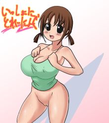 Rule 34 | 00s, 10s, blush, bottomless, breasts, cleavage, cleft of venus, hinako (issho ni training), issho ni training, large breasts, pussy, smile, sweat, uncensored
