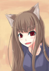 Rule 34 | 00s, angry, animal ears, brown hair, furious, holo, rage (rojiura), red eyes, solo, spice and wolf, wolf ears