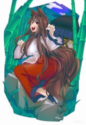 Rule 34 | 1girl, absurdres, animal ear fluff, animal ears, architecture, bamboo, bamboo forest, black footwear, blush, breasts, brown hair, cloud, commentary request, east asian architecture, fangs, fingernails, forest, full body, grass, highres, imaizumi kagerou, large breasts, long hair, long sleeves, looking at viewer, looking to the side, nature, open mouth, outdoors, purple sky, red eyes, red skirt, rock, sandals, sharp fingernails, shirt, shishi wan, sidelocks, skirt, sky, slit pupils, solo, sweatdrop, tail, touhou, very long hair, white nails, white shirt, wolf ears, wolf girl, wolf tail