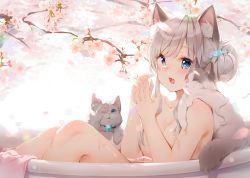 Rule 34 | 1girl, :d, amanagi el, animal, animal ear fluff, animal ears, bath, bathing, bathtub, blue eyes, blurry, blurry background, blush, branch, breasts, cat, cat ears, cat girl, cleavage, collarbone, commentary, depth of field, fang, fish hair ornament, flower, hair bun, hair ornament, has bad revision, has downscaled revision, highres, indie virtual youtuber, kinako (shiratama mochi), knees up, long hair, md5 mismatch, medium breasts, nude, open mouth, pink flower, resolution mismatch, silver hair, single hair bun, sitting, smile, solo, source smaller, symbol-only commentary, towel, virtual youtuber, water, wet