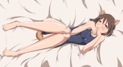 Rule 34 | 1girl, animal ears, barefoot, blue one-piece swimsuit, blush, breasts, brown hair, cleavage, covering own mouth, dakimakura (medium), dog ears, dog tail, embarrassed, from above, full body, hair between eyes, hand over own mouth, head tilt, highres, indoors, knees together feet apart, legs, lying, miyafuji yoshika, monizumi ishikawa, narrow waist, on back, one-piece swimsuit, open mouth, own hands together, parted bangs, school swimsuit, short hair, sideways, solo, strike witches, swimsuit, tail, teeth, upper teeth only, world witches series, yellow eyes