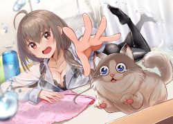 Rule 34 | 1girl, ahoge, animal, black bra, black pantyhose, blue eyes, blurry, blurry foreground, bra, bra visible through clothes, breasts, brown hair, cat, cleavage, collarbone, collared shirt, commentary request, depth of field, hair between eyes, hair over shoulder, highres, i.f.s.f, legs up, long hair, long sleeves, low twintails, lying, medium breasts, moe2022, on floor, on stomach, open mouth, original, outstretched arm, pantyhose, red eyes, see-through, shirt, solo, tears, towel, twintails, underwear, water, water drop, wet, wet clothes, wet shirt