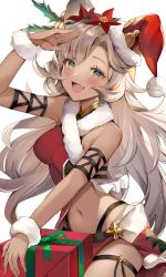 Rule 34 | 1girl, animal ears, aoi (kirabosi105), bare shoulders, blush, box, breasts, christmas, commentary request, erune, fang, flower, fur trim, gift, gift box, granblue fantasy, green eyes, hair flower, hair ornament, hat, highres, long hair, looking at viewer, medium breasts, midriff, navel, nemone, open mouth, santa hat, simple background, sleeveless, smile, solo, stomach, thigh strap, thighs, very long hair, white background