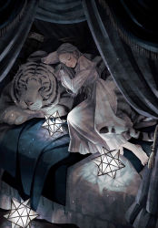 Rule 34 | 1girl, barefoot, bed, blush, canopy bed, closed eyes, dress, grey dress, grey hair, highres, long dress, long hair, long sleeves, lying, nightgown, on bed, original, sleeping, small stellated dodecahedron, solo, stellated octahedron, tiger, tsunko (9v2 q), white tiger
