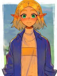 1girl blonde_hair blue_shirt blurry border braid commentary crown_braid depth_of_field green_eyes highres looking_at_viewer nintendo outside_border pointy_ears princess_zelda rv_(gvdn7245) shirt short_hair solo symbol-only_commentary the_legend_of_zelda the_legend_of_zelda:_tears_of_the_kingdom white_border