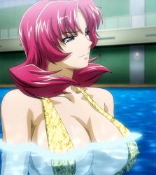 Rule 34 | 1girl, bikini, breasts, freezing (series), highres, large breasts, pool, red hair, roxanne elipton, screencap, solo, standing, stitched, swimsuit, third-party edit, water