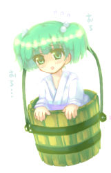 Rule 34 | 1girl, 23, 23 (candy chapus), bucket, female focus, green eyes, green hair, in bucket, in container, kisume, matching hair/eyes, solo, touhou