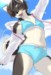 Rule 34 | 1girl, :d, ^ ^, animal ears, animal nose, arm up, bikini, blue bikini, blue sky, body fur, breasts, brown hair, closed eyes, cloud, commentary request, day, dog ears, dog girl, dog tail, closed eyes, fangs, furry, furry female, highres, jacket, kikurage (crayon arts), open clothes, open jacket, open mouth, original, short hair, sky, small breasts, smile, snout, solo, swimsuit, tail, teeth, thighs, white jacket