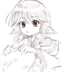 Rule 34 | 1girl, ainu clothes, animal ears, aquaplus, aruruu, closed mouth, curap1kt, eyes visible through hair, greyscale, hair over one eye, hair over shoulder, highres, long sleeves, looking at viewer, low twintails, medium hair, monochrome, sidelocks, solo, twintails, upper body, utawarerumono, wide sleeves
