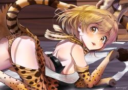 Rule 34 | 1girl, absurdres, aburaeoyaji, all fours, animal print, ass, back, backless outfit, blonde hair, blush, bow, bowtie, breasts, brown eyes, corset, double-parted bangs, elbow gloves, extra ears, flat ass, from side, gloves, highres, kemono friends, large breasts, light smile, looking at viewer, medium breasts, medium hair, miniskirt, multicolored hair, open mouth, panties, paw pose, print bow, print bowtie, print gloves, print panties, print scarf, print skirt, print thighhighs, scarf, see-through silhouette, serval (kemono friends), serval print, shoulder blades, sideboob, skirt, solo, thighhighs, underwear