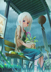 Rule 34 | 1girl, :o, aiuabo, albino, animal, bench, blue skirt, braid, breasts, brown jacket, bus stop, commentary request, crown braid, dress, frog, grass, green shirt, highres, insect collection, jacket, long dress, long hair, long sleeves, looking at viewer, original, outdoors, overcast, plant, potted plant, purple eyes, rain, shirt, shoes, unworn shoes, sign, sitting, skirt, sky, small breasts, soaking feet, socks, unworn socks, solo, striped, umbrella, very long hair, white hair, yellow footwear