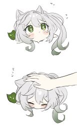 Rule 34 | 1girl, animal ear fluff, animal ears, blush, cat ears, chibi, closed eyes, closed mouth, commentary request, cross-shaped pupils, genshin impact, gradient hair, green eyes, green hair, grey hair, hair between eyes, hair ornament, head only, headpat, highres, hirarinoie, kemonomimi mode, leaf hair ornament, long hair, multicolored hair, multiple views, nahida (genshin impact), pointy ears, side ponytail, simple background, solo focus, symbol-shaped pupils, translation request, white background