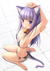 Rule 34 | 1girl, animal ear fluff, animal ears, armpits, arms up, ass, bare arms, bare legs, bare shoulders, barefoot, bell, bikini, black bikini, blunt bangs, blush, breasts, cat ears, cat girl, cat tail, collar, crossed arms, fang, full body, highres, long hair, looking at viewer, micro bikini, neck bell, open mouth, original, purple eyes, purple hair, seiza, shibacha, side-tie bikini bottom, sitting, small breasts, smile, solo, string bikini, swimsuit, tail, thighs