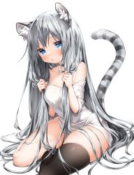Rule 34 | 1girl, animal ear fluff, animal ears, anzu ame, bare shoulders, blue eyes, blush, full body, grey hair, highres, long hair, looking at viewer, off-shoulder shirt, off shoulder, original, shirt, simple background, sitting, solo, tail, thighhighs, triangle mouth, very long hair, white background, yokozuwari