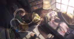 Rule 34 | 2girls, absurdres, blanket, blue bow, book, book stack, bookshelf, bow, carpet, carrying, cat, commentary request, couch, crescent, crescent pin, expressionless, from above, globe, hair bow, hallway, hat, highres, holding, holding book, koakuma, lamp, lens flare, light, long hair, lying, mob cap, multiple girls, on back, on couch, out of frame, partial commentary, patchouli knowledge, pillow, plant, potted plant, purple eyes, purple hair, red bow, robe, room, rug, scenery, shadow, sly930105, spirit, sunlight, touhou, very long hair, wide sleeves, window