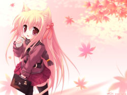 Rule 34 | animal ears, blush, bow, cat ears, cat tail, fang, food, leaf, long hair, maple leaf, skirt, tail, thighhighs, wallpaper