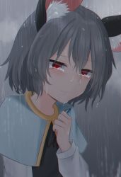 Rule 34 | 1girl, animal ear fluff, animal ears, blue capelet, blush, capelet, closed mouth, commentary, crying, crying with eyes open, crystal, dakuazu, grey hair, grey vest, jewelry, long sleeves, looking at viewer, mouse ears, mouse girl, nazrin, pendant, rain, red eyes, shirt, short hair, solo, tears, touhou, upper body, vest, wet, white shirt