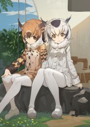 Rule 34 | 10s, 2girls, :/, :o, arm support, beige coat, beige shoes, blonde hair, blue sky, brown coat, brown eyes, brown hair, building, buttons, closed mouth, cloud, coat, day, eurasian eagle owl (kemono friends), expressionless, eyelashes, flower, full body, fur collar, grass, grey coat, grey footwear, grey hair, hand on own knee, highres, kemono friends, knees together feet apart, light brown hair, long sleeves, looking at viewer, mary janes, multicolored coat, multicolored hair, multiple girls, northern white-faced owl (kemono friends), open mouth, outdoors, pantyhose, pocket, rock, seinen, shadow, shoes, sitting, sitting on rock, sky, sleeve cuffs, sunlight, tree, white hair, white legwear, window