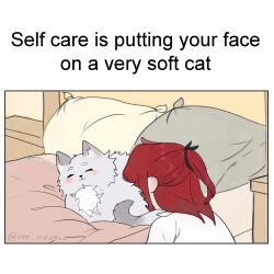 Rule 34 | 1boy, animal, bed, cale henituse, cat, closed eyes, closed mouth, commentary, commentary request, english commentary, english text, grey cat, half updo, highres, long hair, lout of count&#039;s family, male focus, meme, pillow, red hair, shirt, twitter username, vee vizualz