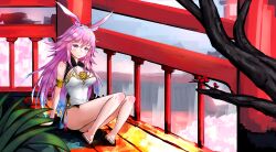 Rule 34 | 1girl, animal ears, architecture, barefoot, branch, breasts, cherry blossoms, china dress, chinese clothes, closed mouth, dress, east asian architecture, fenistia, fox ears, full body, highres, honkai (series), honkai impact 3rd, large breasts, long hair, looking at viewer, on floor, pink hair, purple eyes, sitting, smile, solo, toes, white dress, wooden floor, yae sakura