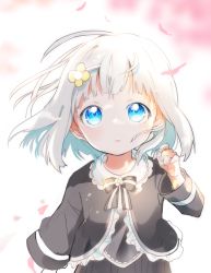 Rule 34 | 1girl, bad id, bad pixiv id, black bow, black dress, black shirt, blue eyes, blush, bow, commentary request, dress, fingernails, flower, frilled shirt, frills, fuyusuke (hz+), hair flower, hair ornament, hairclip, hand up, long hair, long sleeves, looking up, original, parted lips, petals, revision, shirt, solo, striped, striped bow, white background, white hair