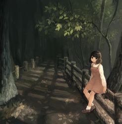 Rule 34 | 1girl, ame usako, arms at sides, bad id, bad pixiv id, black eyes, blunt bangs, brown footwear, brown hair, dark, dress, fence, long sleeves, looking at viewer, nature, original, outdoors, overall skirt, path, road, shadow, shoes, short hair, smile, socks, solo, sunlight, tree, white socks, wooden fence