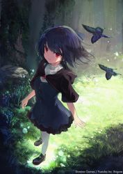 Rule 34 | 1girl, blue butterfly, blue dress, blue hair, blue ribbon, brigare, brown capelet, brown footwear, bug, butterfly, capelet, commentary, copyright name, day, dress, forest, from above, full body, gem, grass, hair ribbon, insect, looking at viewer, makihitsuji, nature, plant, red eyes, ribbon, shoes, short hair, solo, sweater, sweater under dress, symbol-only commentary, tree, white legwear, white sweater