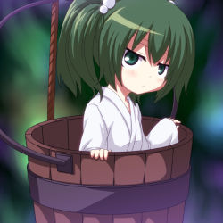 Rule 34 | 1girl, blush, bucket, female focus, green eyes, green hair, hair bobbles, hair ornament, in bucket, in container, kagesaki-ice, kisume, long sleeves, matching hair/eyes, short hair, solo, touhou, twintails, wide sleeves