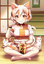 Rule 34 | 1girl, absurdres, animal ears, ankleband, bell, breasts, brown hair, calico, cat, cat ears, cat girl, cat tail, coin, gesture, gold, goutokuji mike, highres, indian style, kaoling, koban (gold), looking at viewer, maneki-neko, medium breasts, multicolored clothes, multicolored hair, multicolored shirt, multicolored skirt, neck bell, patch, paw pose, short hair, sitting, skirt, sliding doors, smile, tail, tatami, touhou, wooden floor