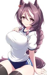 1girl animal_ears black_thighhighs blue_buruma braid breasts brown_hair buruma gym_shirt gym_uniform hand_on_own_chest highres horse_ears horse_girl horse_tail large_breasts long_braid long_hair looking_at_viewer pataneet pink_eyes sakura_chitose_o_(umamusume) shirt simple_background single_braid sitting solo t-shirt tail thighhighs umamusume white_background white_shirt