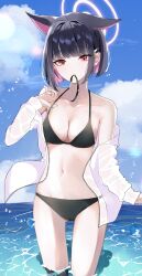 Rule 34 | 1girl, absurdres, animal ears, bikini, black (kbym), black bikini, black hair, blue archive, breasts, cat choker, cat ears, cleavage, collarbone, colored inner animal ears, colored inner hair, commentary, extra ears, halo, highres, jacket, kazusa (blue archive), multicolored hair, navel, open clothes, open jacket, pink eyes, pink hair, pink halo, see-through, see-through jacket, see-through sleeves, solo, swimsuit, water, water drop, white jacket
