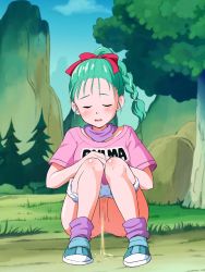 Rule 34 | 1girl, blue footwear, blush, bow, braid, braided ponytail, bulma, censored, clothes writing, cloud, dragon ball, dragon ball (classic), erodon hearts, closed eyes, facing viewer, female pubic hair, full body, grass, green hair, hair bow, high ponytail, highres, long hair, loose socks, mosaic censoring, open mouth, outdoors, panties, panty pull, peeing, pink shirt, polka dot, polka dot panties, pubic hair, purple socks, relief, shirt, shoes, short sleeves, single braid, sky, socks, solo, sparse pubic hair, squatting, tree, underwear, white panties