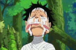 Rule 34 | 1boy, amazon lily, animated, animated gif, brothers, death, jinbe (one piece), lowres, monkey d. luffy, one piece, siblings, tears