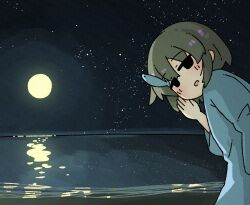 Rule 34 | 1girl, beach, black eyes, blue shirt, blush, commentary request, fish hair ornament, full moon, green hair, hair ornament, hand on own face, kani aji, kani aji-chan, leaning forward, light smile, looking back, moon, night, no pupils, no sclera, ocean, open mouth, original, outdoors, oversized clothes, oversized shirt, raised eyebrows, reflection, reflective water, shirt, short hair, sky, solo, star (sky), starry sky