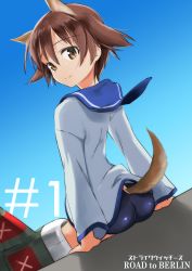 Rule 34 | 1girl, absurdres, animal ears, aohashi ame, ass, blue sky, brown eyes, brown hair, clear sky, closed mouth, clothing cutout, commentary, copyright name, dog ears, dog tail, dutch angle, english text, from behind, highres, looking at viewer, looking back, miyafuji yoshika, school swimsuit, school uniform, sitting, sky, smile, solo, strike witches, striker unit, swimsuit, swimsuit under clothes, tail, tail through clothes, world witches series