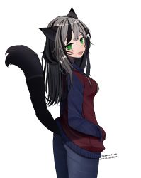 Rule 34 | 1girl, :d, absurdres, acetylcholine, animal ears, black hair, breasts, cat ears, cat girl, fang, female focus, green eyes, grey hair, head tilt, highres, jacket, long hair, looking at viewer, looking back, lynx, medium breasts, multicolored hair, open mouth, original, smile, solo, standing, tail