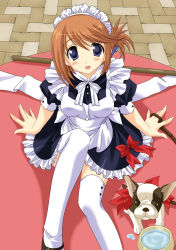 Rule 34 | 00s, 1girl, folded ponytail, highres, komaki manaka, maid, ribbon, solo, thighhighs, to heart (series), to heart 2