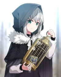 Rule 34 | 1girl, cage, cape, cloak, coconat summer, commentary request, fate/grand order, fate (series), fur trim, gray (fate), green eyes, grey hair, hair between eyes, highres, holding, holding cage, hood, hood up, long sleeves, looking at viewer, lord el-melloi ii case files, ribbon, short hair, smile, solo, white ribbon