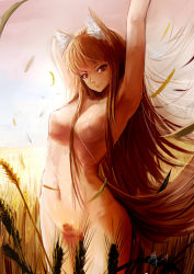 Rule 34 | 1girl, absurdres, animal ears, arms up, bbkid, blush, breasts, brown hair, cowboy shot, fang, female pubic hair, highres, holo, long hair, navel, nude, pubic hair, pussy, red eyes, solo, spice and wolf, tail, uncensored, wheat, wheat field, wolf ears, wolf tail
