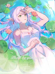Rule 34 | 1girl, afloat, bare arms, chinese commentary, collarbone, commentary request, day, dress, earrings, elf, english text, flower, frieren, green eyes, hand on own stomach, highres, jewelry, lily pad, long hair, outdoors, parted lips, pink flower, pointy ears, sleeveless, sleeveless dress, solo, sousou no frieren, thick eyebrows, water, white dress, white hair, yizhiqianzi